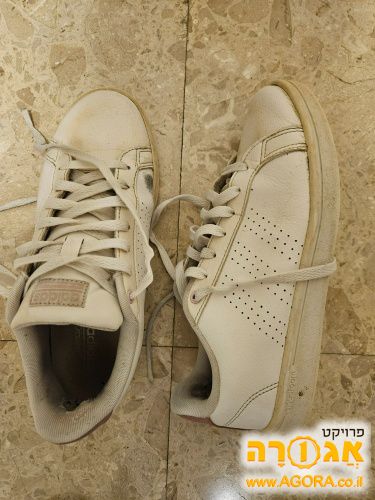 נעלי ספורט