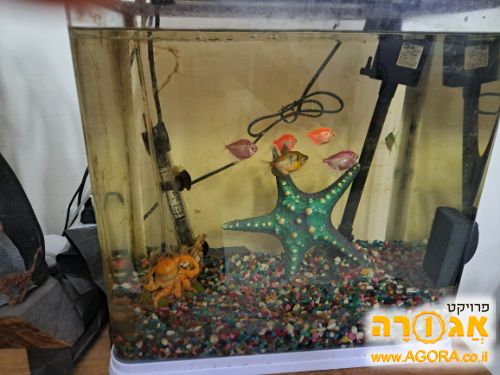 אקווריום