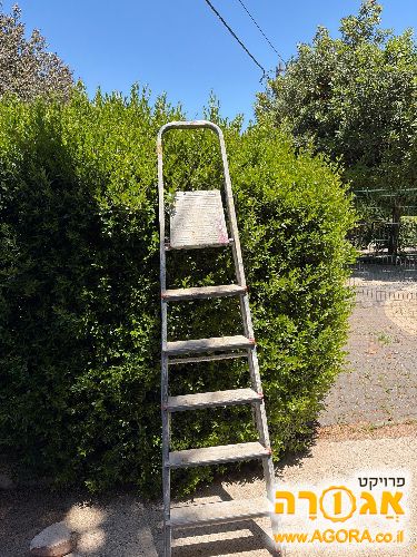 סולם
