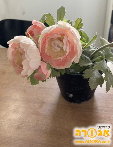עציץ עם צמח פורח - מלאכותי