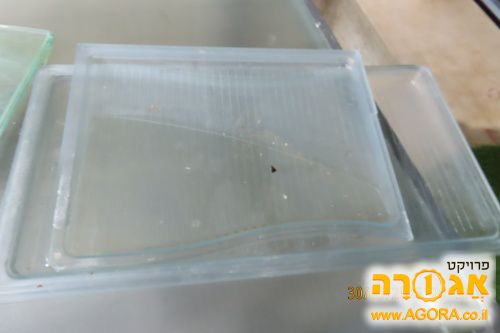 מדפים למקרר שארפ
