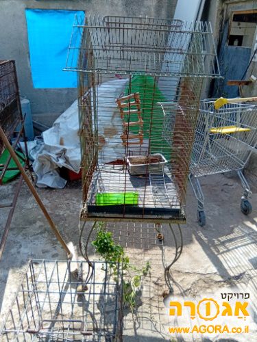 כלוב לתוכי/עופות