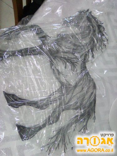 תמונת סוס מברזל לקישוט