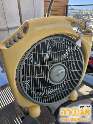 מאורר