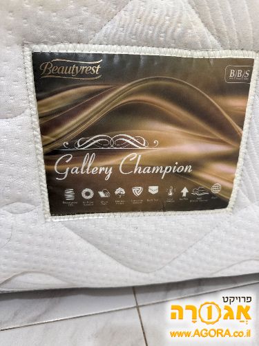 מיטה