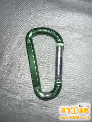 שאקל - תוכי