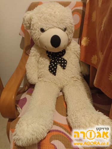 דובי ענק