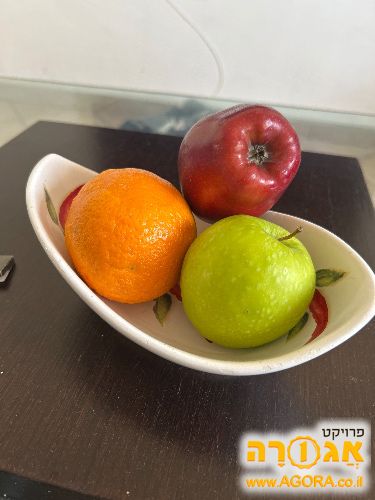 צלחת הגשה