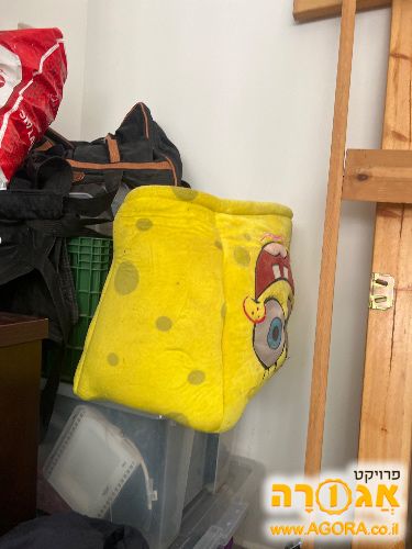 ראש של בובספוג