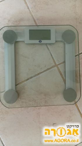 משקל אלקטורני
