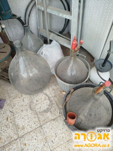 4 דימיג'אנים ליין גדלים דונים