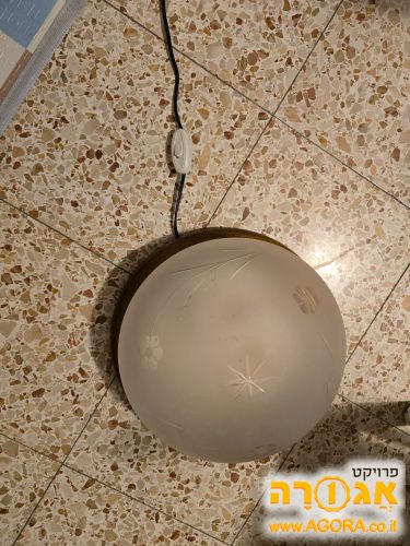 בית מנורה