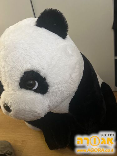 בובה