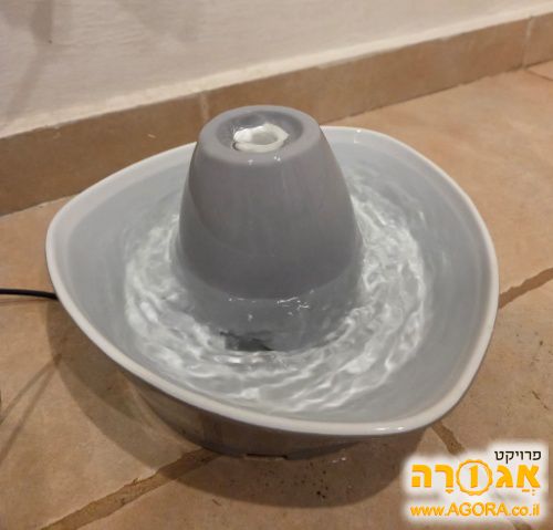 מזרקת מי שתיה לחתולים