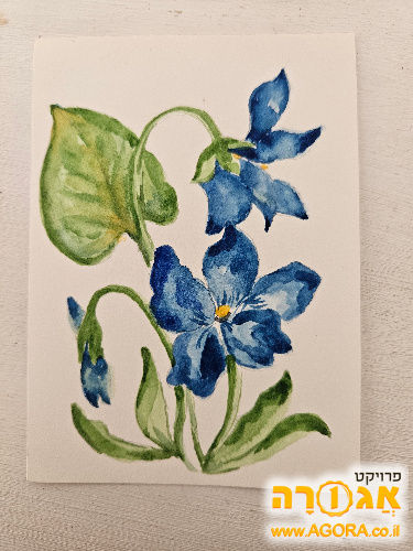 צבעי מים מקצועיים