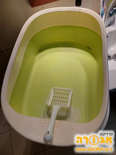 ארגז חול לחתול