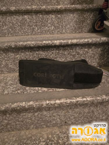 חגורת גב