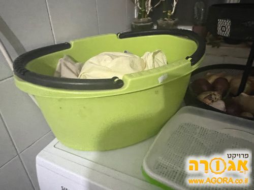 גיגית פלסטיק