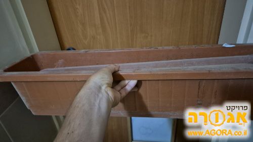 אדנית חומה גדולה