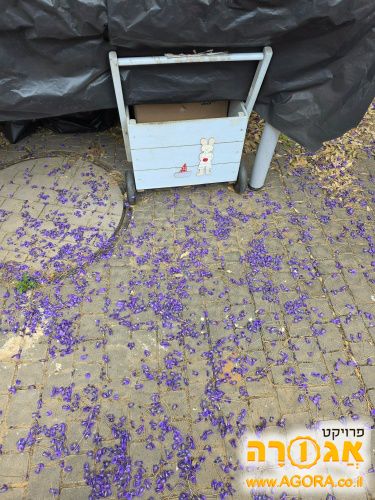 עגלת צעצוע מעוצבת
