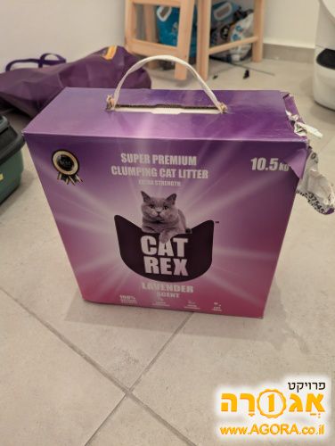חול לחתולים