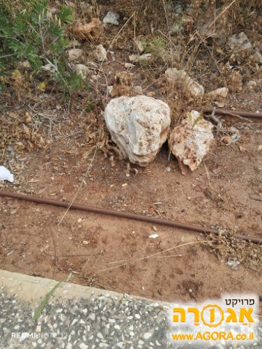 אבן ירושלמית