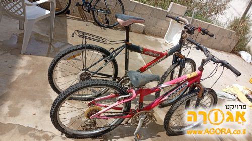 2 זוגו. אופניים