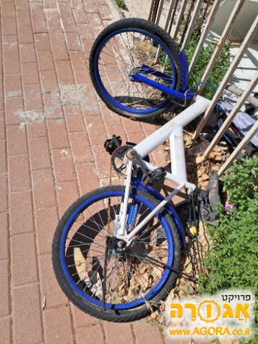 אופניים