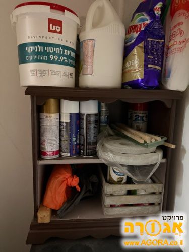 ארונית