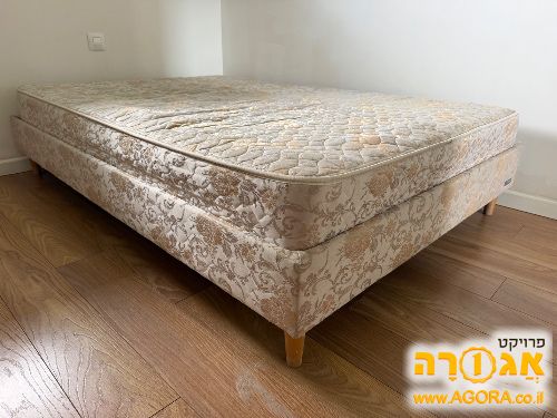 מיטת נוער