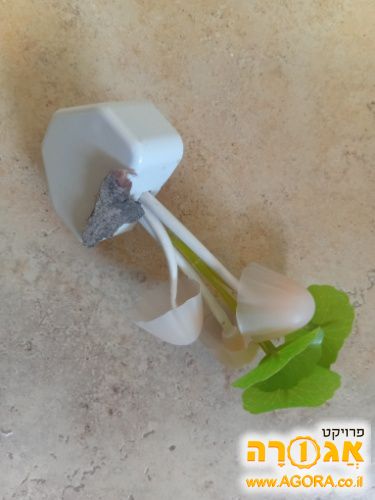 מנורת לילה
