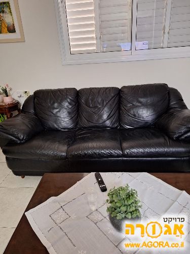 ספה מעור