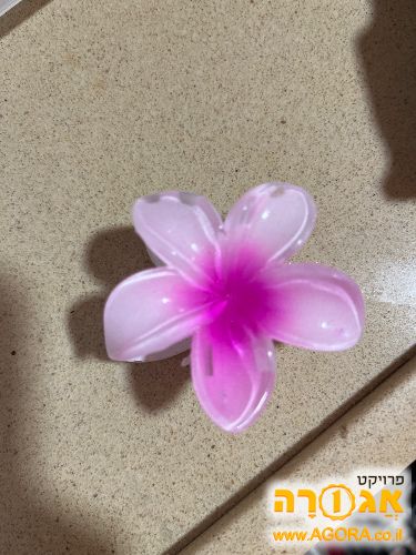 קליפס
