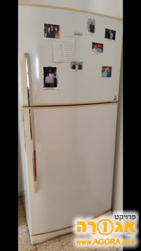 מקרר Haier