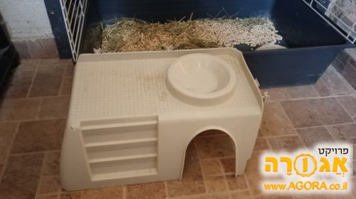 מושב ותא לכלוב של חיות מחמד