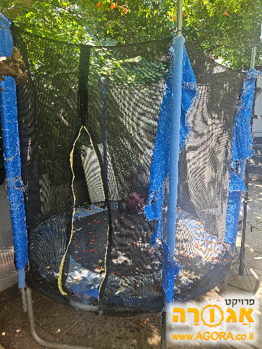 טרמפולינה
