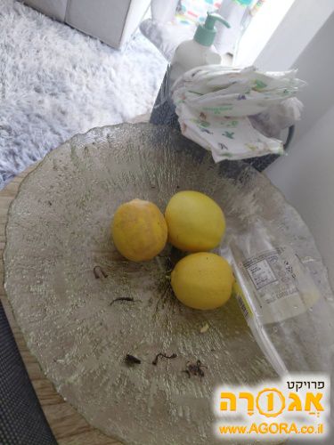 קערה זכוכית