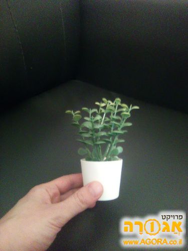 עציץ פלסטיק