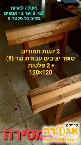 זוג פלטות לשןלחן ו זוג חמורים