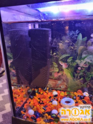 פילטר לאקווריום🦭🐡