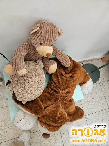 בובות