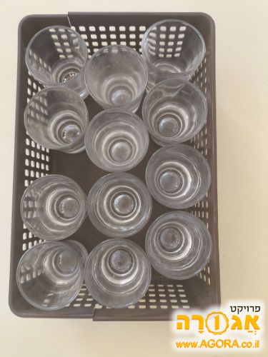 כוסיות לשוטים
