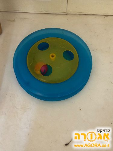 משחק לחתול