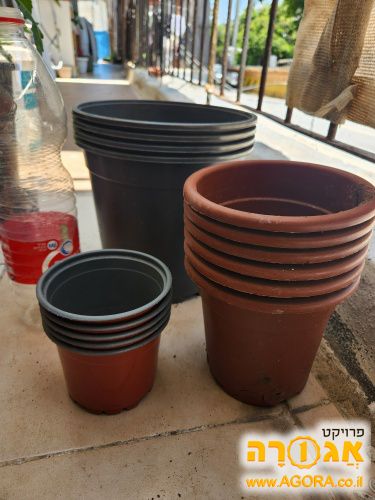 עציצים בגדלין שונים