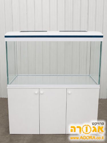 אקווריום