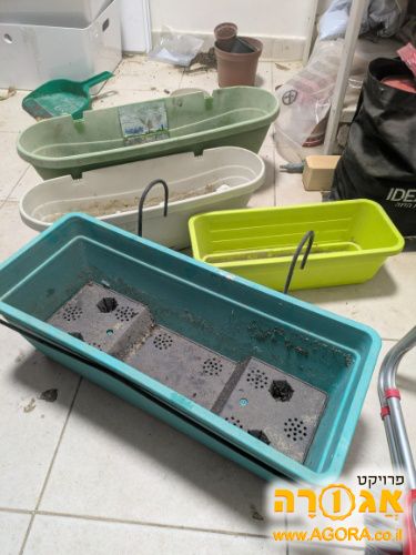 אדנית