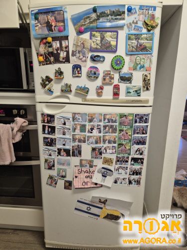 מקרר אפולו תדיראן