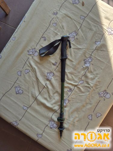 מקל הליכה