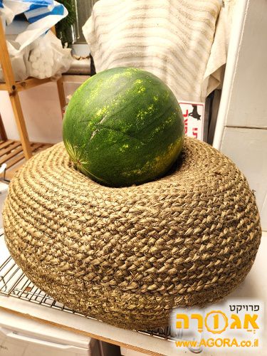 פוף קטן