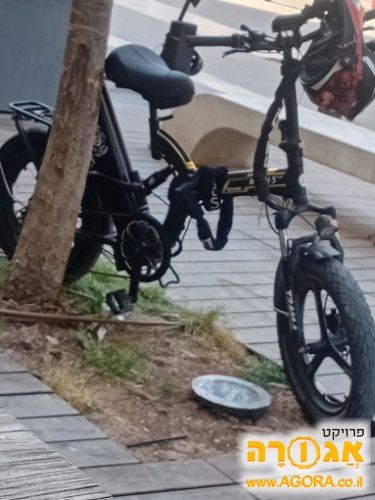 אופנים